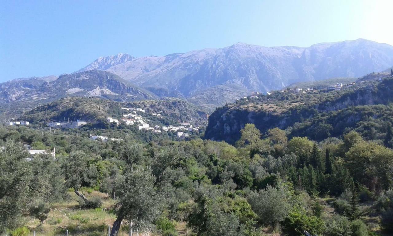 Oasis Drymades Hotel Dhermi Exterior photo